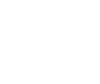 Stuart Carlisle Logo